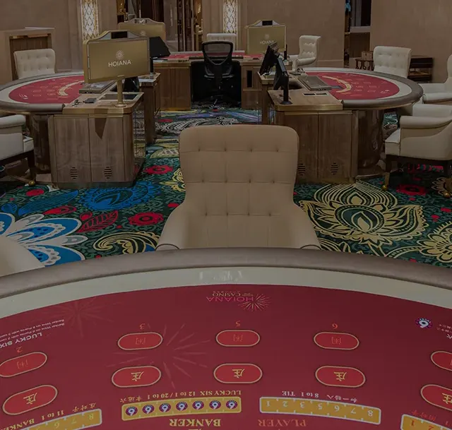 一張豪華貴賓廳的內部照片，展示越南合法賭場中高端裝潢、私人賭桌與專屬服務，賓客在舒適環境中自在娛樂
